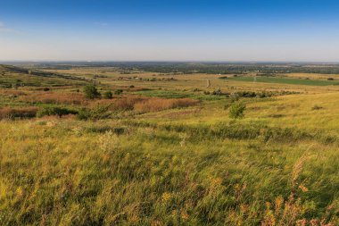 Çayır ve tepeden ahşap görünümü.