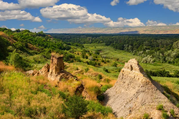 stock image From above valley and wood.