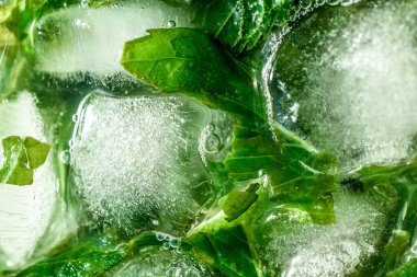Buz küpleri ve nane yaprakları. Yaz tazeleyici kokteyl. Mojito.