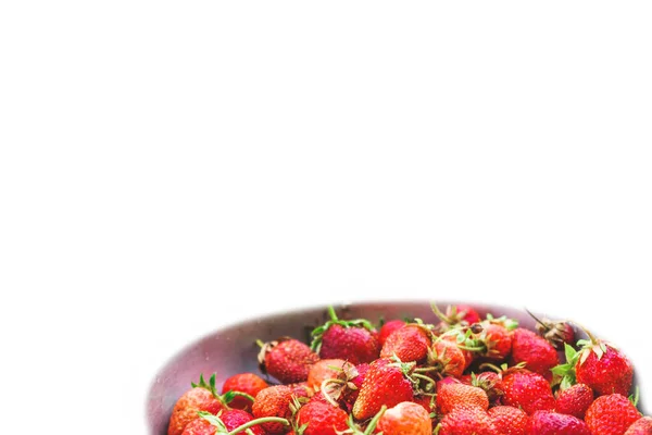 여름용 딸기를 접시에 놓는다 원문을 — 스톡 사진