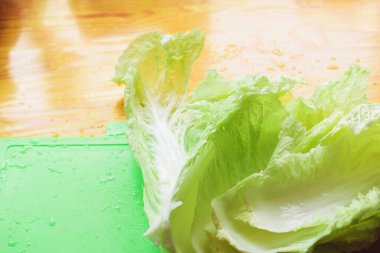 Pekin lahanasının yaprakları.