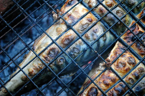 Peixe Grelhado Carapau Frito Sobre Uma Fogueira — Fotografia de Stock