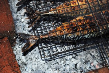 Izgara balık. Açık ateşte kızarmış uskumru.