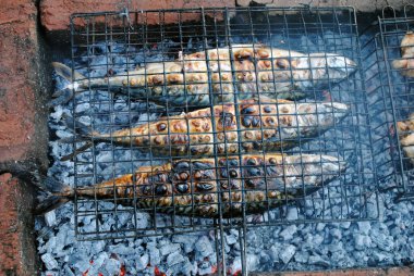 Izgara balık. Açık ateşte kızarmış uskumru.