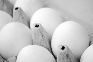 Beyaz tavuk yumurtası boş alanı, arka plan ile bir karton kutu içinde