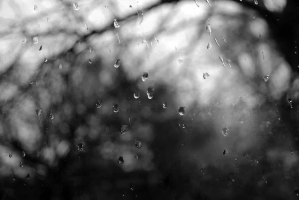 Fond Gris Fenêtre Avec Gouttes Pluie — Photo