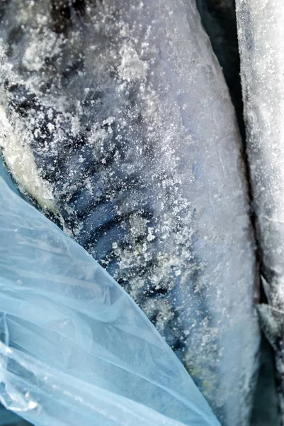 冷凍サバのクローズアップ ビニール袋に詰められた氷で覆われた魚 — ストック写真