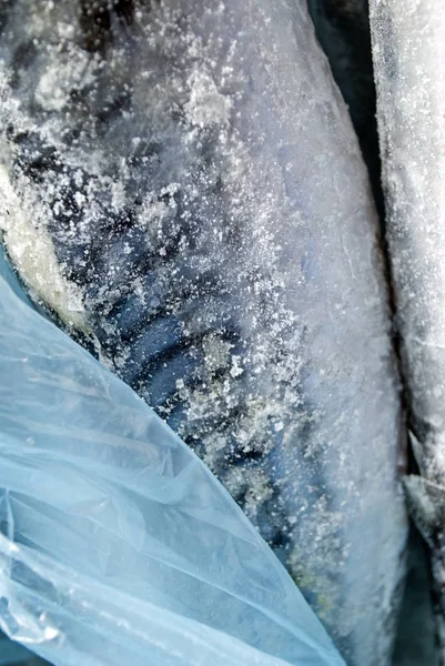 Fryst Makrill Närbild Isbelagd Fisk Förpackad Plastpåse — Stockfoto