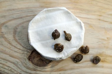 Camembert peyniri ve tuzlanmış kapari. Ahşap bir arka planda. Laktozsuz peynir..