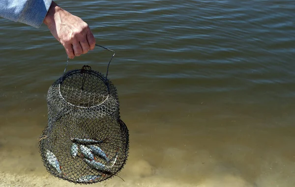 Nahaufnahme Einer Männlichen Hand Die Fische Fischernetz Hält — Stockfoto