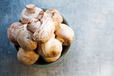 Gri arka planda plakalı şampiyonlar. Çiğ mantar..