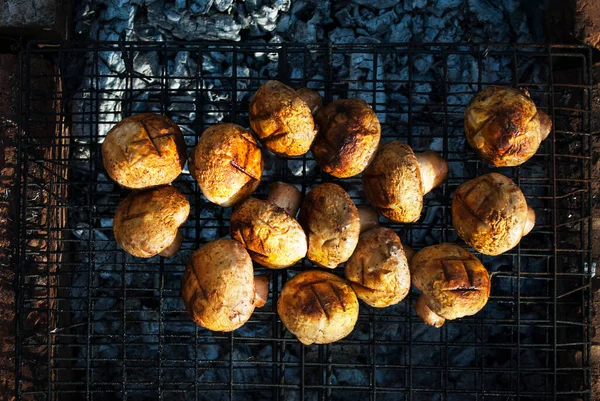 烤蘑菇 格栅炉火上的蘑菇 自然烧烤 夏季野餐 — 图库照片
