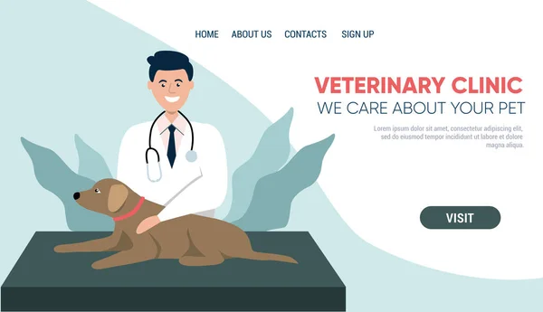 Αρσενικός Κτηνίατρος Ελέγχει Κατοικίδια Ζώα Κτηνίατρος Στην Κτηνιατρική Κλινική Υγιές — Διανυσματικό Αρχείο