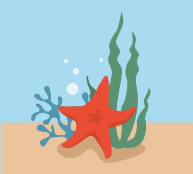 Deniz bitkileri ve kabukları seti, basitçe vektör illüstrasyonu   