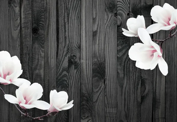 White magnolia flowers on background of shabby wooden planks — Stock Photo, Image