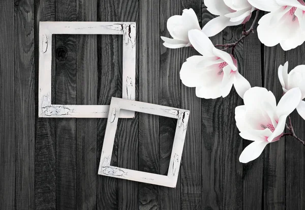 Άσπρο magnolia λουλούδια και κορνίζα σε φόντο του shabby w — Φωτογραφία Αρχείου