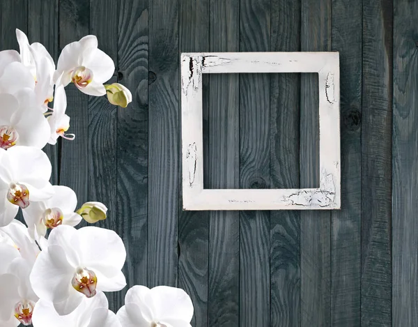 Orquídea branca e moldura de fotos no fundo do plano de madeira gasto — Fotografia de Stock