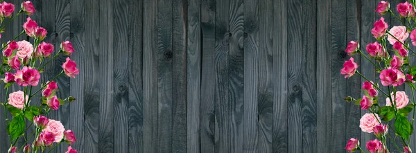 Rozen op achtergrond van armoedige houten planken — Stockfoto