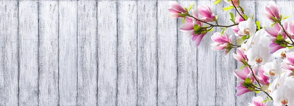 玉兰与兰花的破旧木板背景 — 图库照片