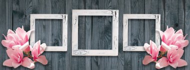 Fotoğraf çerçeveleri ve Manolya çiçek woo duvara arka plan