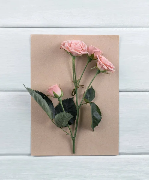 에코 종이 장미와 나무 배경 — 스톡 사진