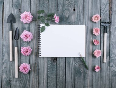 Bahçe konseptiyle araçları, defter ve güller