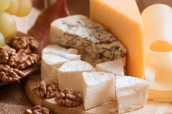 Peynir ve ceviz — Stok fotoğraf