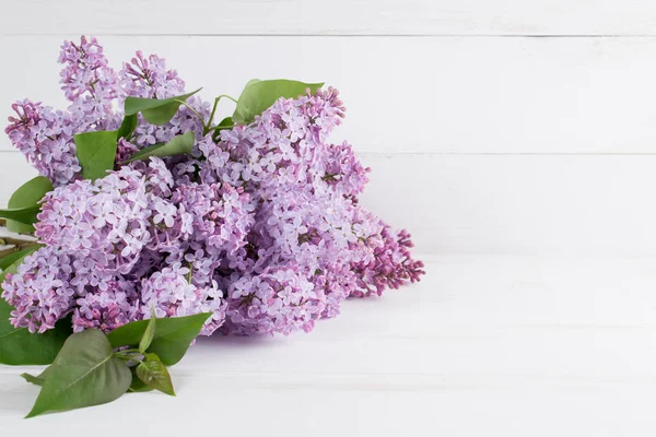 Mooie lila bloemen — Stockfoto