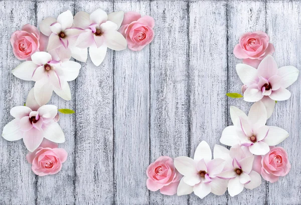 Magnólia com rosas no fundo de tábuas de madeira rasgadas — Fotografia de Stock