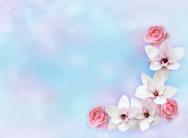 Våren blommor bakgrund med blommande rosa magnolia och rosor — Stockfoto
