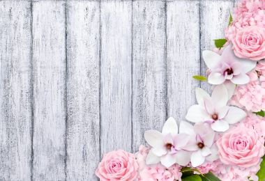 Manolya çiçek gül ve hortense