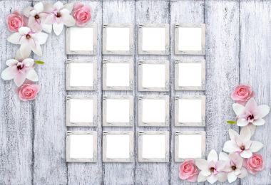 Retro fotoğraf çerçeveleri Manolya çiçek ve gül ile