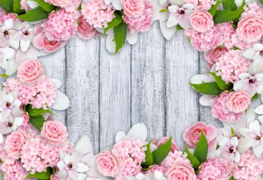 Manolya çiçek gül, HORTENSIA ve metin için yer