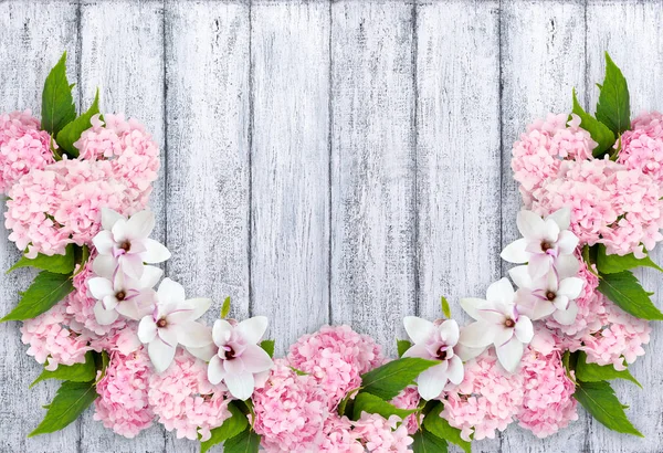 Magnolia flores com hortensia e lugar para o seu texto — Fotografia de Stock