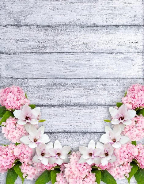 Magnolia bloemen met hortensia en plaats voor uw tekst — Stockfoto