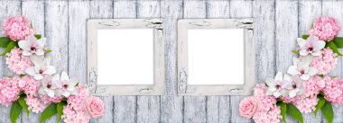 Manolya çiçek, gül ve HORTENSIA fotoğraf çerçeveleri