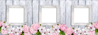 Manolya çiçek, gül ve HORTENSIA fotoğraf çerçeveleri