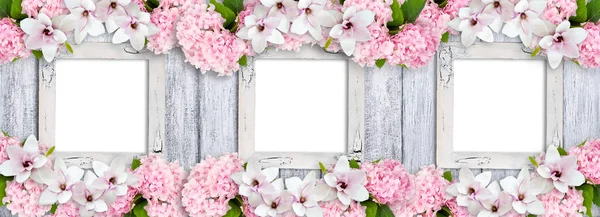 Fotolijsten met magnolia bloemen, rozen en hortensia — Stockfoto