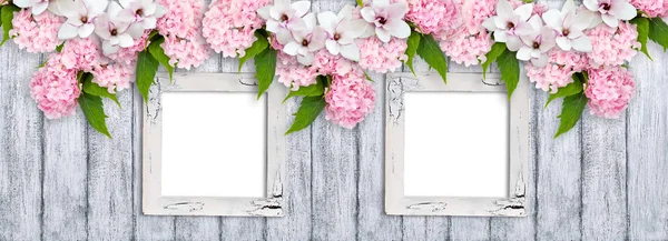 Photo frames with magnolia flowers, roses and hortensia — Stock Photo, Image