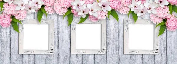 Molduras fotos com flores de magnólia, rosas e hortensia — Fotografia de Stock