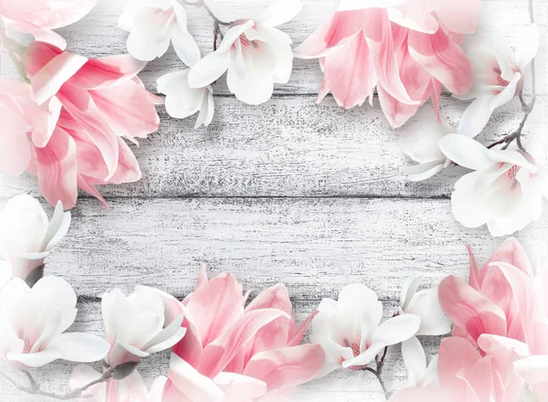 Achtergrond met magnolia — Stockfoto