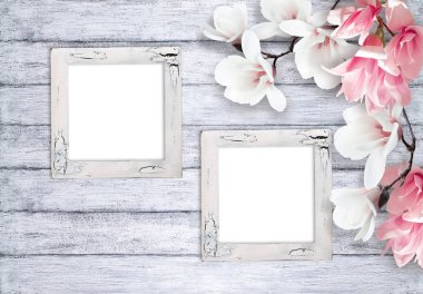 Retro fotoğraf çerçeveleri ile Manolya çiçek