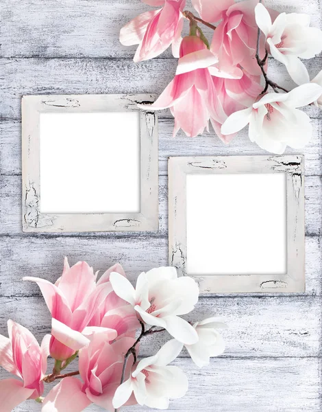 Retro fotoframes met magnolia bloemen — Stockfoto