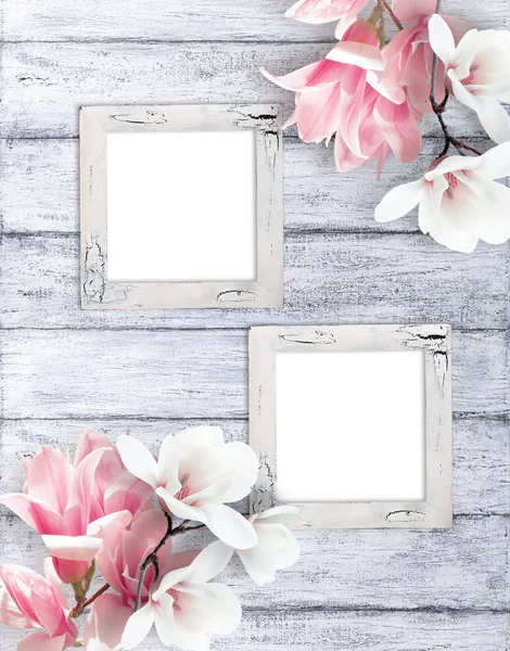 Retro fotoframes met magnolia bloemen — Stockfoto