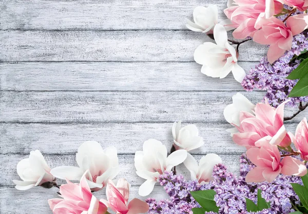 Magnolia and lilac flowers on shabby background — Stock Photo, Image