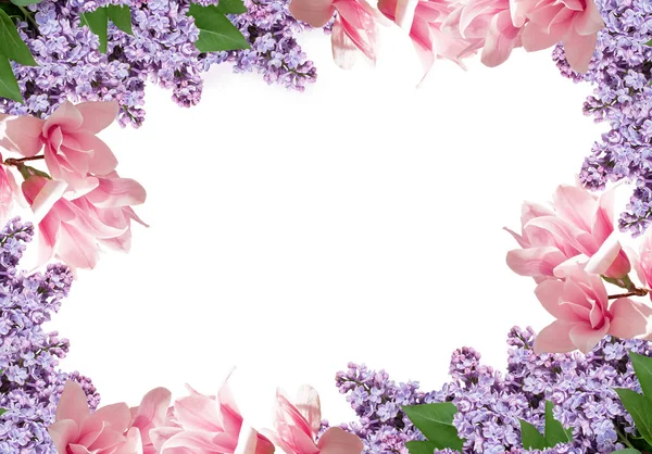 Magnolia en lila bloemen geïsoleerd op witte achtergrond — Stockfoto