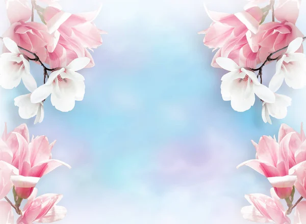 Lente bloemen achtergrond met magnolia bloemen — Stockfoto