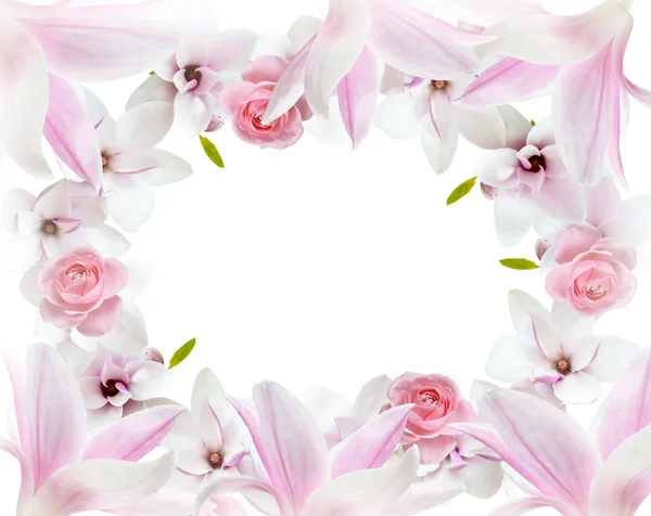 Magnolienblüten und Rosen isoliert auf weißem Hintergrund — Stockfoto