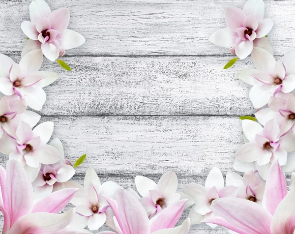 Magnolia bloemen op houten plank in Shabby chique stijl — Stockfoto