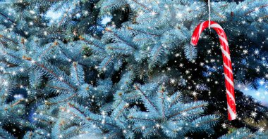 Çam ağacı, şeker kamışı ve kar yağışı ile Noel arka plan